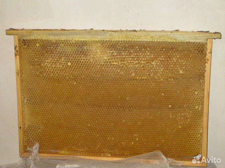 Рамки с сотами(сушь)