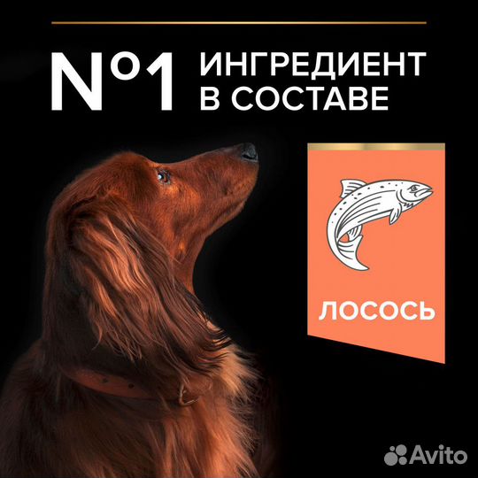 Purina PRO plan для собак, с лососем, рисом, 0,7 кг