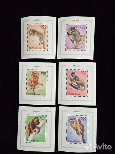 Гвинея Бисау чистые блоки фауна