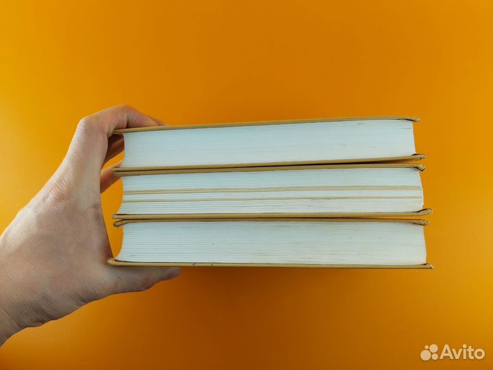 Сон в красном тереме Цао Сюэцинь