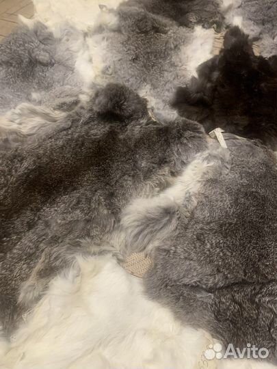 Шкурки кролика