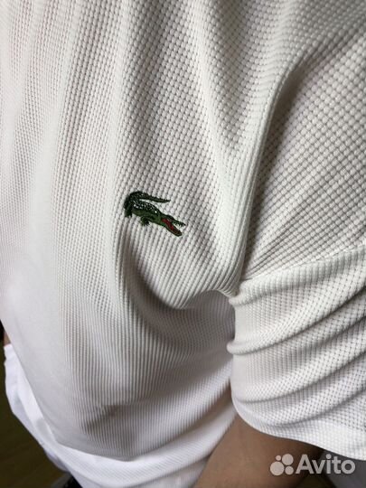 Летний костюм шорты+футболка Lacoste