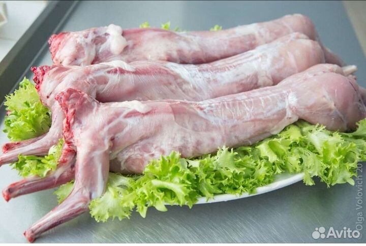 Продаются кролики на мясо и живые