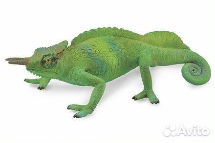 Камерунский гребенчатый хамелеон, 88805b