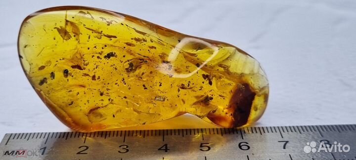 Янтарь С древними насекомыми