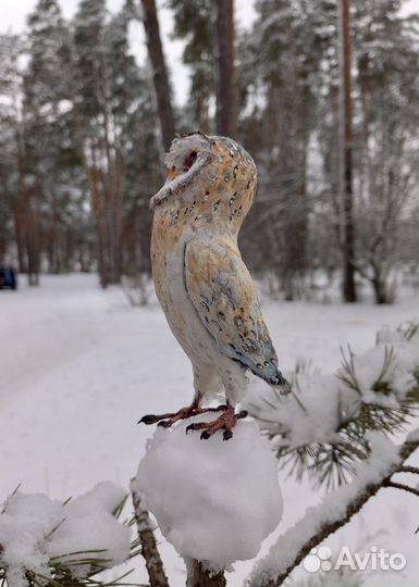 Игрушка сова