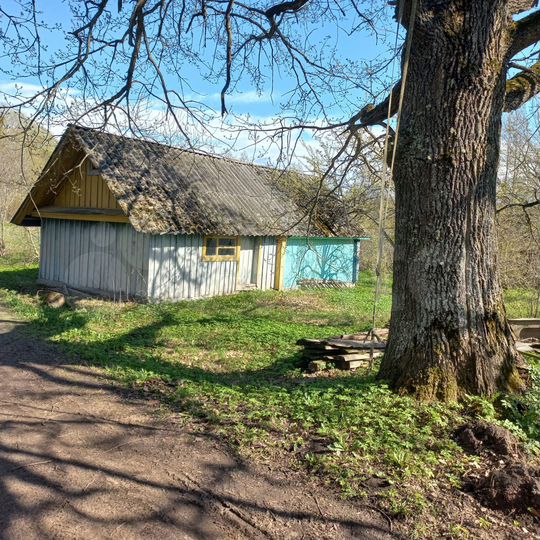 Участок 53 сот. (ИЖС)