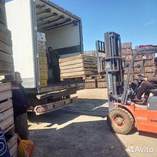 Грузоперевозки межгород