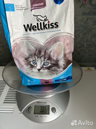 Корм для котят Kitten Wellkiss
