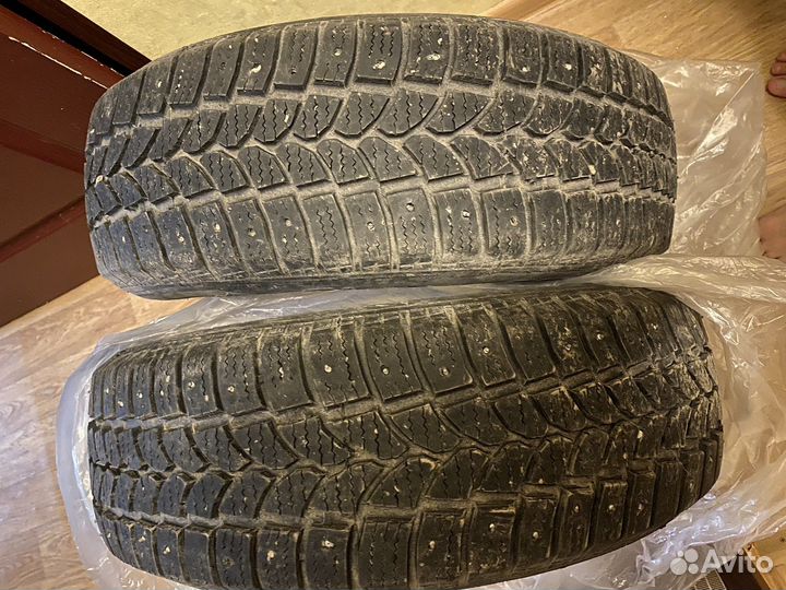 Tigar Sigura Stud 195/65 R15