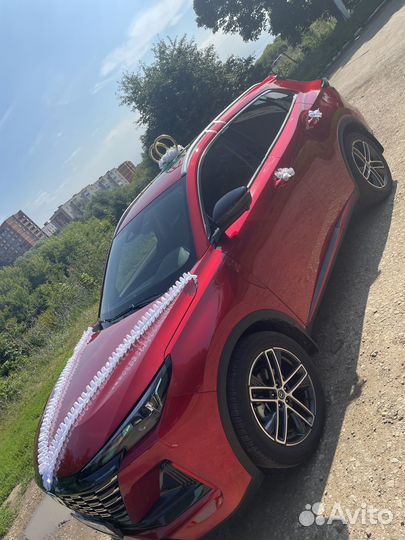 Катание свадеб