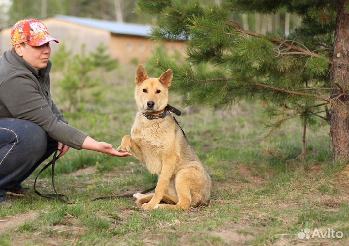 Сама нежность и скромность Лиза, в дар