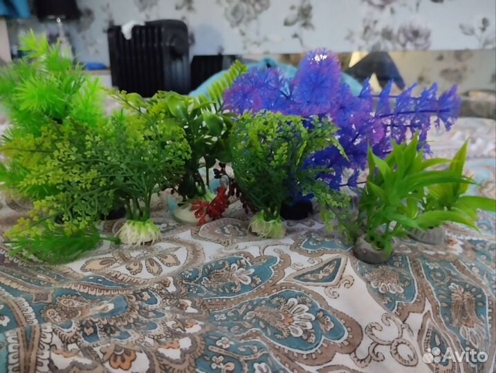 Для аквариума и грызунов