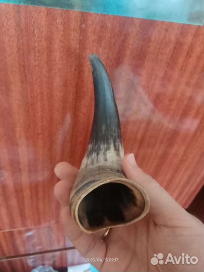 Рог коровий