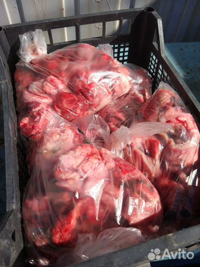 Субпродукты для питомцев