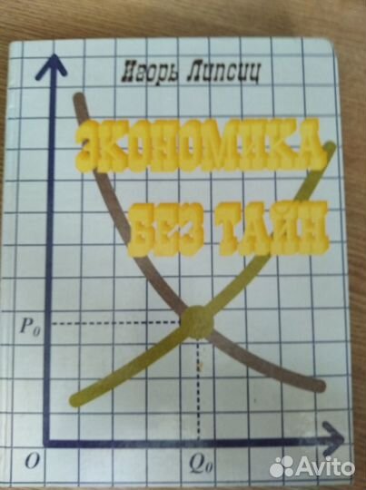 Липсиц экономика