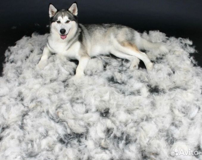 Собачий пух и шерсть