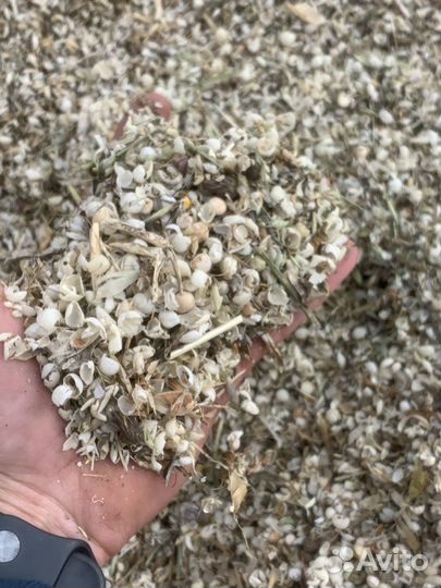 Зерноотходы гороховые