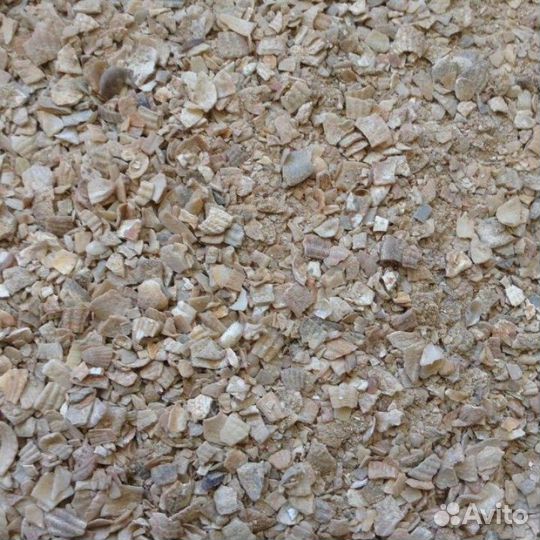 Ракушка кормовая кальциевая морская для с/х птиц