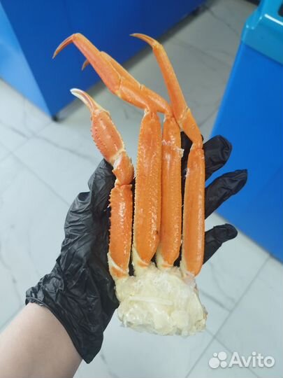 Рыба икра морепродукты