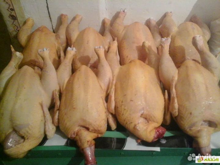 Мясо бройлера домашнее