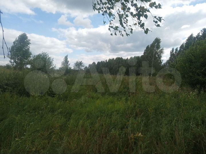 Участок 31 сот. (СНТ, ДНП)