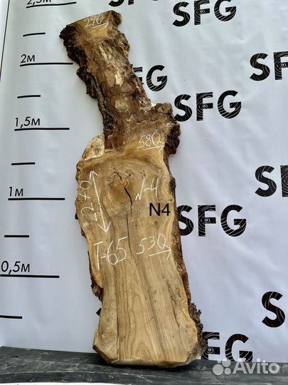 Слэб дерева карагача