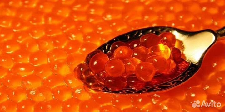 Красная икра (малосоленая)