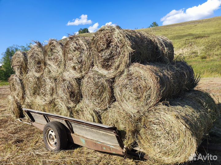 Сено в мини рулонах 70х80 см