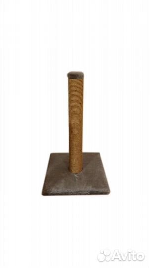 Когтеточка в наличии