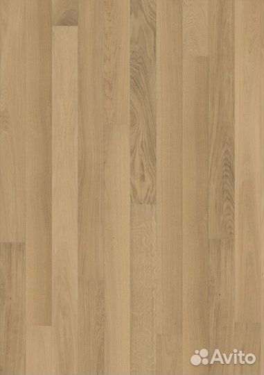 Паркетная доска