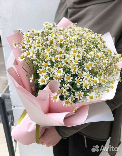 Цветы ромашки. Букеты ромашек. Цветы доставка