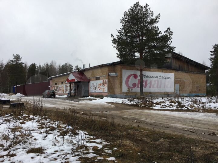 Торговая площадь, 1000 м²