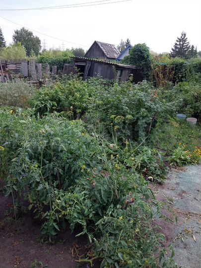 Дача 12 м² на участке 6,4 сот.