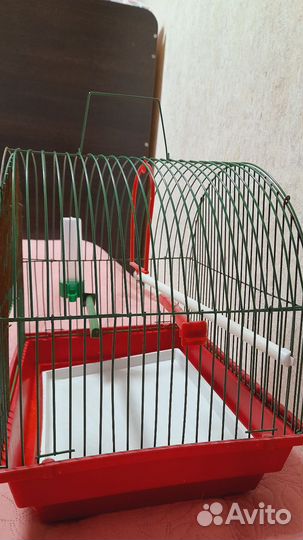 Клетка для попугая
