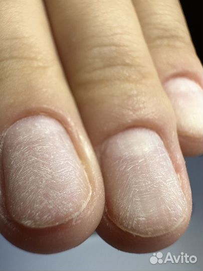 Обучение наращиванию ногтей