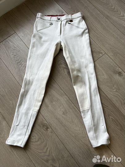 Бриджи для конного спорта