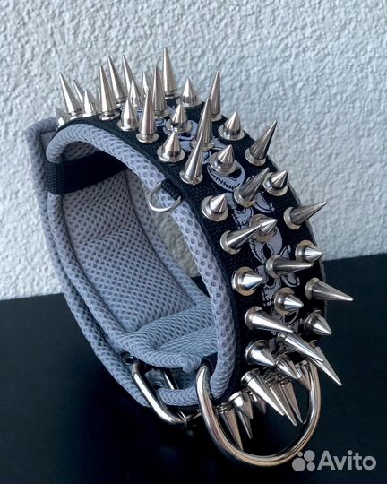 Амуниция для собак