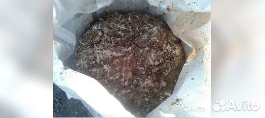 Навоз (помёт)