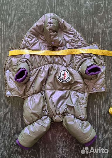 Костюм для собаки