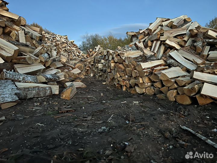Дрова колотые