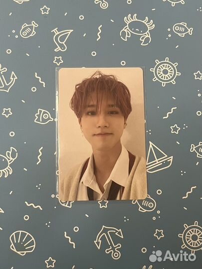 Stray kids карты Джисон chrismas evil