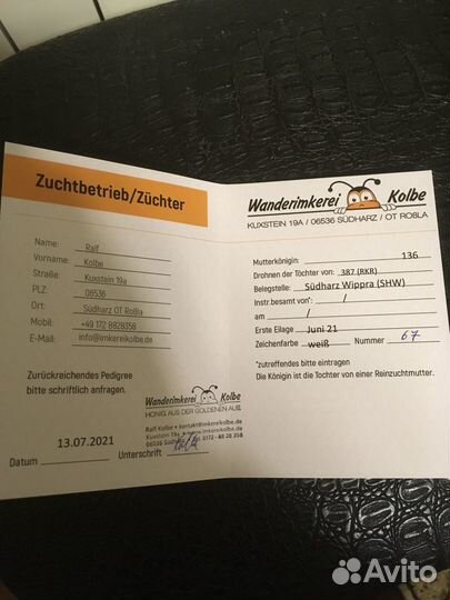 Пчеломатки f1 карника бакфаст пчелопакеты