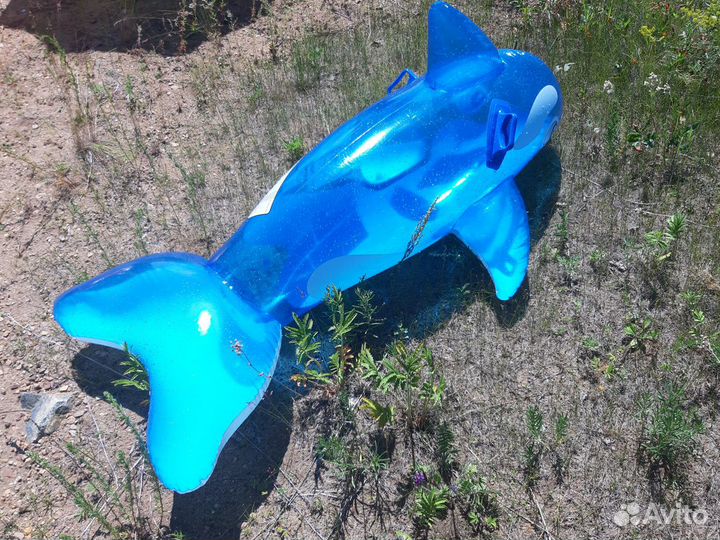 Надувная акула и жилет