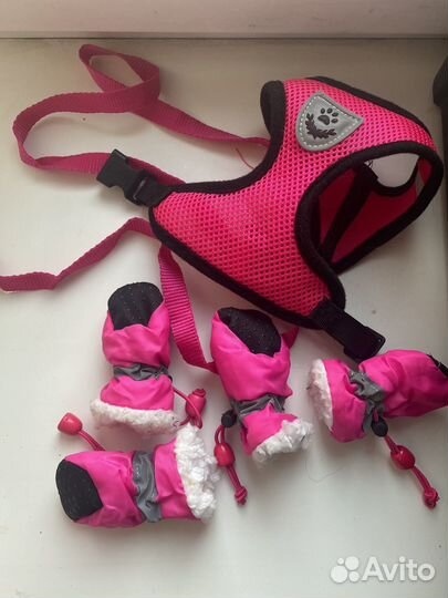 Шлейка для маленькой собаки или взрослой кошки