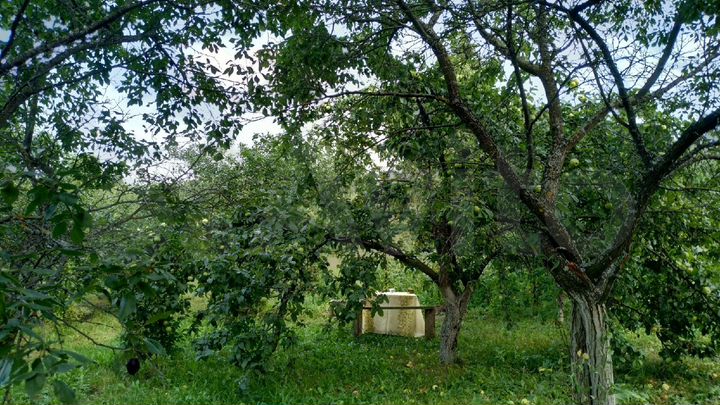 Дом 35,8 м² на участке 13,1 сот.