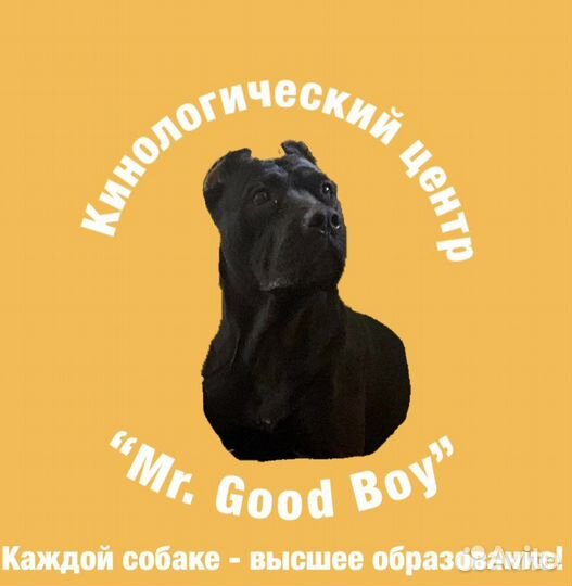 Дрессировка собак кинологический центр кинолог