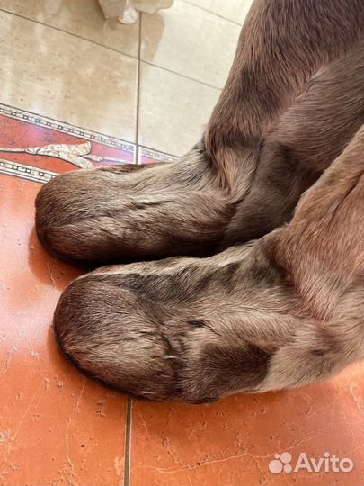 Унты мужские р. 41