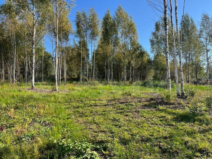 Участок 10 сот. (СНТ, ДНП)