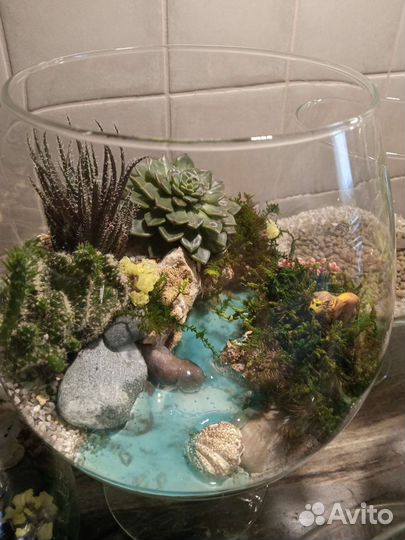 Флорариум 1 сентября День учителя день рождения